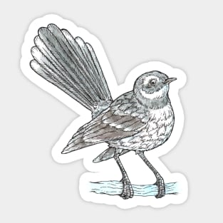 Grey Fantail Sticker